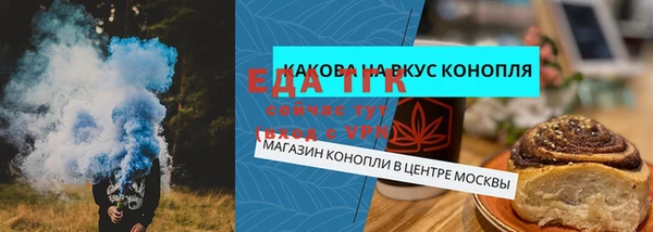 шишки Елабуга