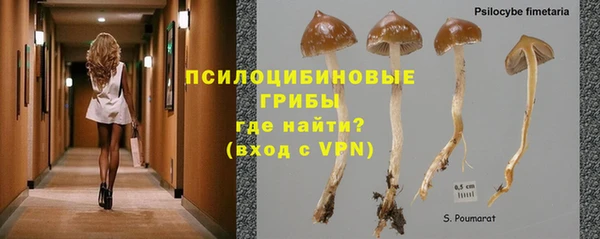 прущие крисы Ельня
