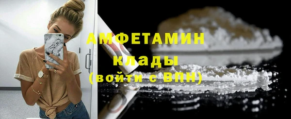 шишки Елабуга