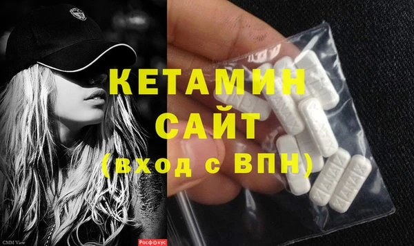 прущие крисы Ельня