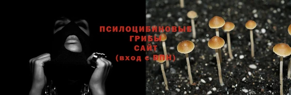 каннабис Елизово