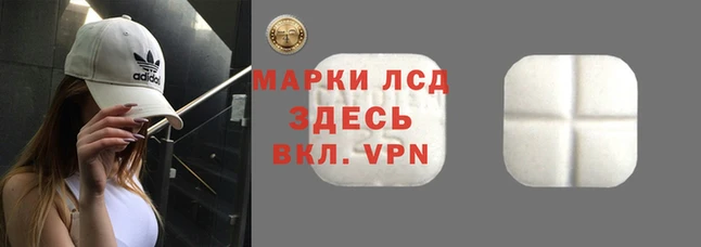 шишки Елабуга