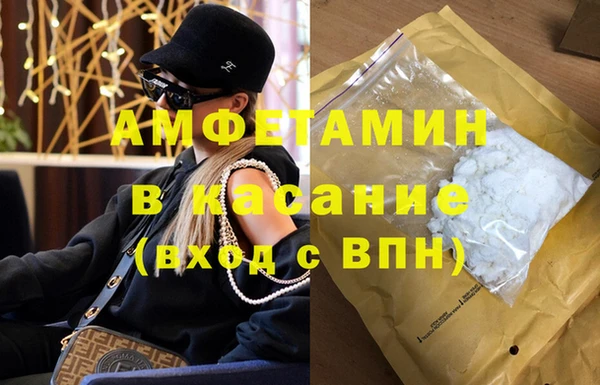 прущие крисы Ельня