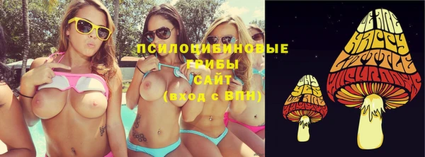 шишки Елабуга