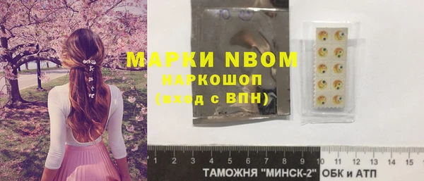 прущие крисы Ельня