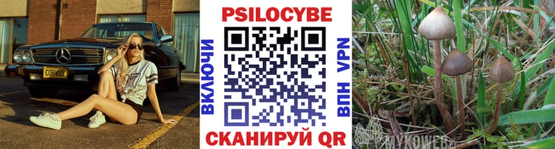 сайты даркнета клад  Куйбышев  Галлюциногенные грибы прущие грибы  blacksprut маркетплейс 